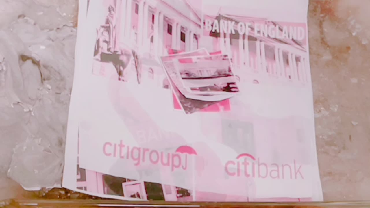 Tim Rifat TikTok Videos