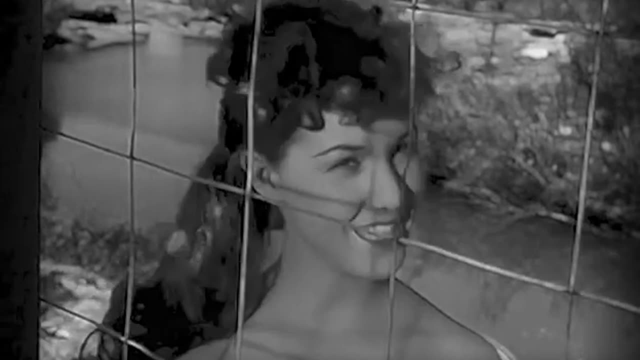 Whiplash Full - Dark Runs the Sea