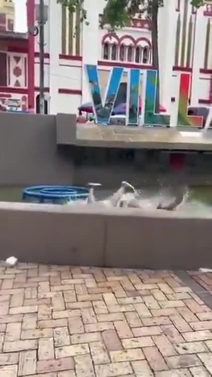 BAIT PHONE 📲 STRIKES AGAIN❗