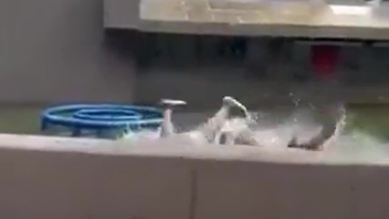 BAIT PHONE 📲 STRIKES AGAIN❗