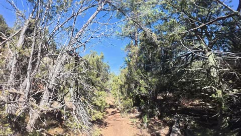 2025 Winter Penrose Commons - Vanessa B-Day Ride - Part 4 - Waterfall Trail North