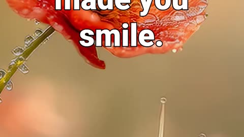 Like if this little snail made you smile :) #snail #sleepingmusic #calmambience #naturesounds