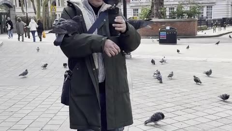 Pigeon Whisperer on London Streets