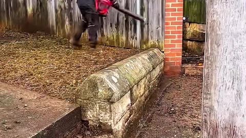 Good job,the latest clips are more satisfying #lawncare