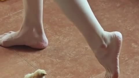 🤣🕺 Ballerina Chicken Spins Into Viral Fame! | FunFM