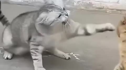😳🤣