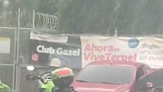 sicariato
