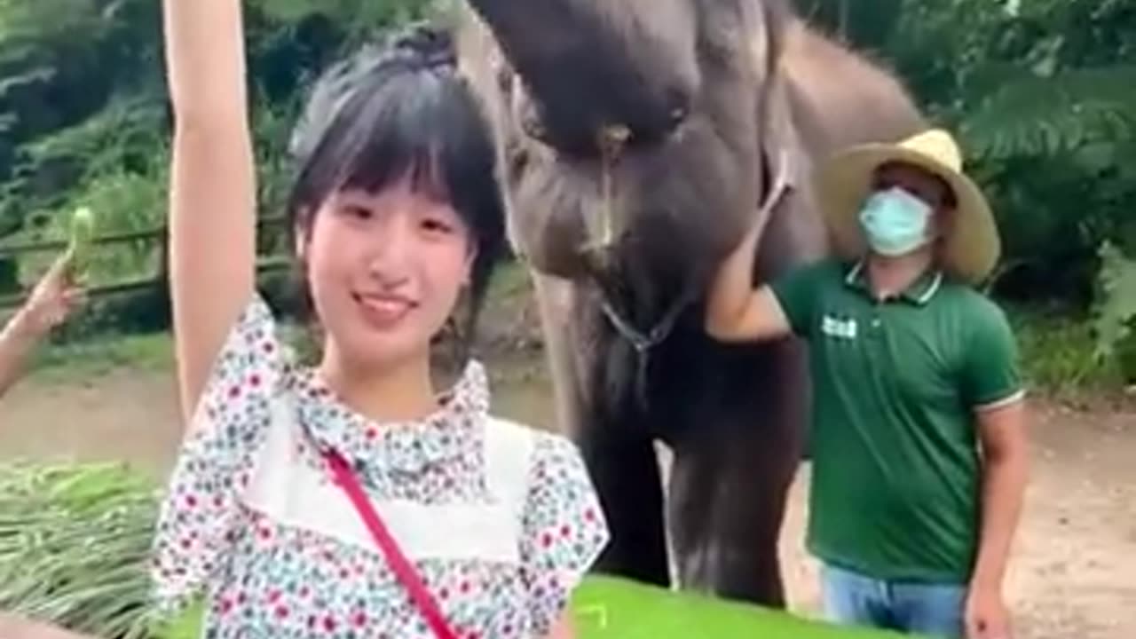 TRY NOT TO LAUGH 😆 Best Funny Videos Compilation 😂😁😆 Memes.