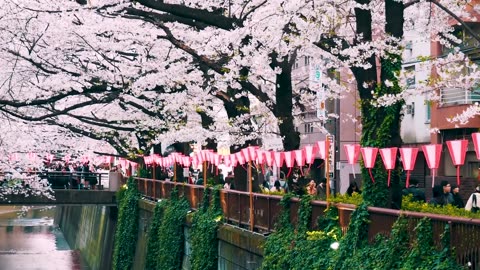 Top 10 Places to Visit in Tokyo, Japan