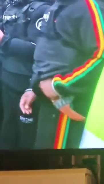 Leftist counter protestor opposing a Remigration rally in Birmingham has been