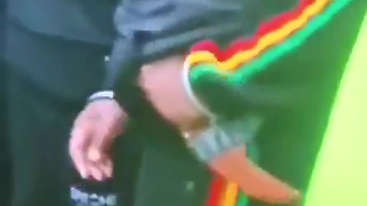 Leftist counter protestor opposing a Remigration rally in Birmingham has been