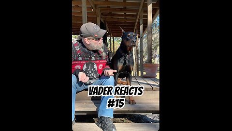 Vader Reacts #15: The Stormtrooper Joke Was a Mistake 😬🤣🐾