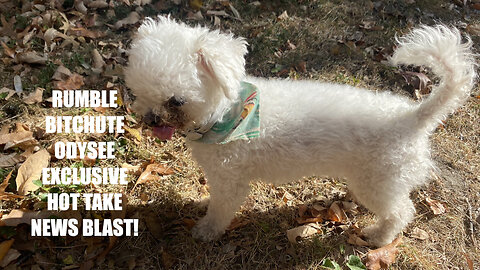 Rumble/Odysee/Bitchute Exclusive Hot Take News Blast! Jan. 29th 2026