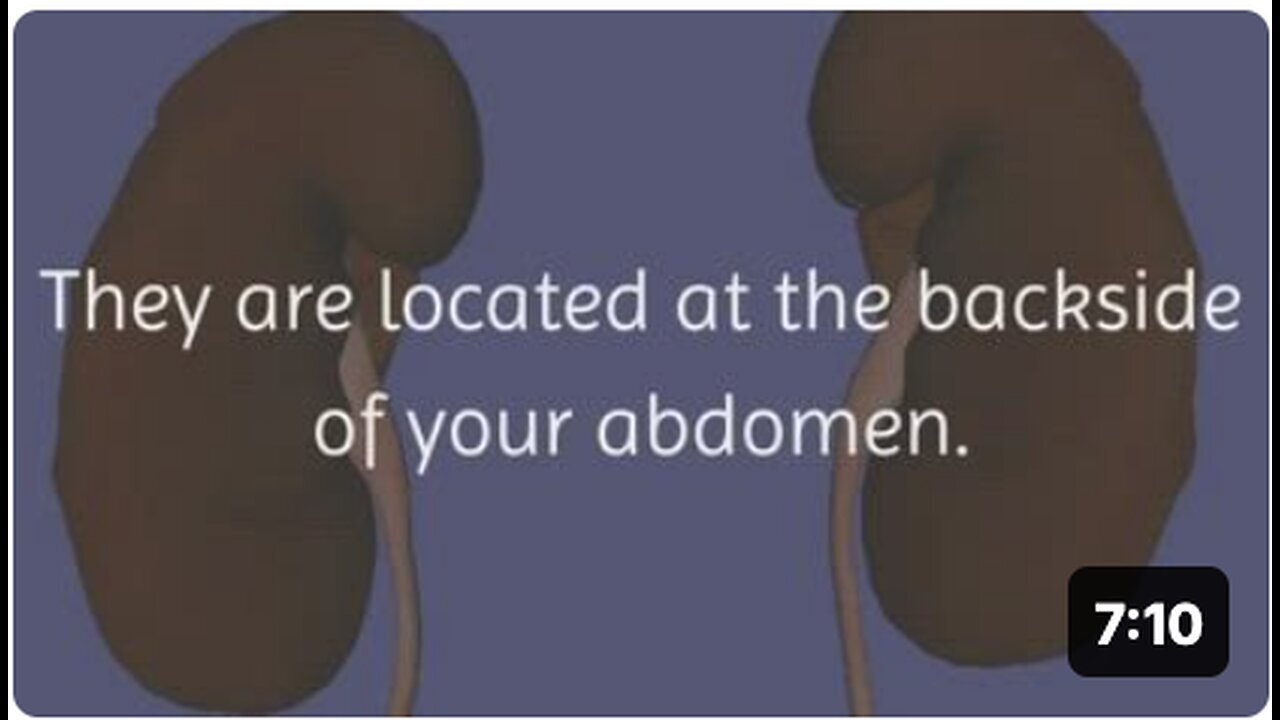 "Top 7 Herbs to Purify and Cleanse Your Kidneys"