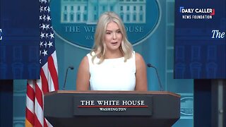Karoline Leavitt Slams Press: 'Trump Knows Putin Wants Meeting With Zelensky'