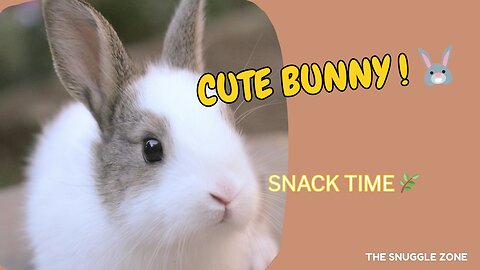 ADORABLE BUNNY EATING TWIGS 🐇💚 | Cutest Rabbit Moment