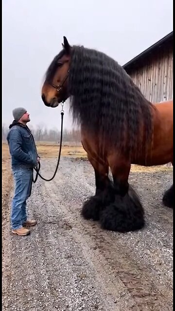 Love All Life Always #488 - Wow. Just Had To Post This. The Man Looks Like A Child! Magnificent!!