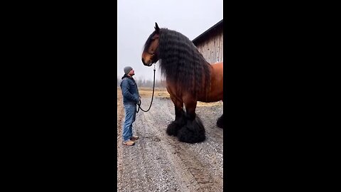 Love All Life Always #488 - Wow. Just Had To Post This. The Man Looks Like A Child! Magnificent!!