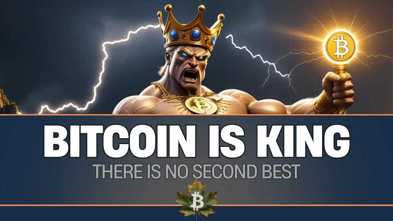 Bitcoin is the only cryptocurrency that matters