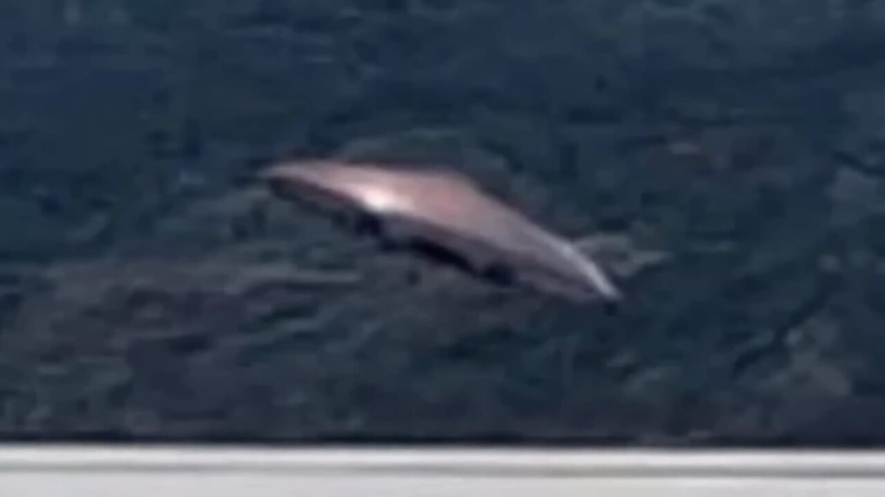 UFO Caught on Video in Argentina