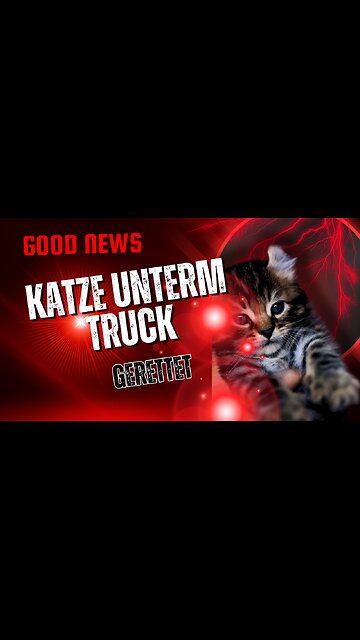 Katze unterm Truck #tiere #news #hund #animals #katze