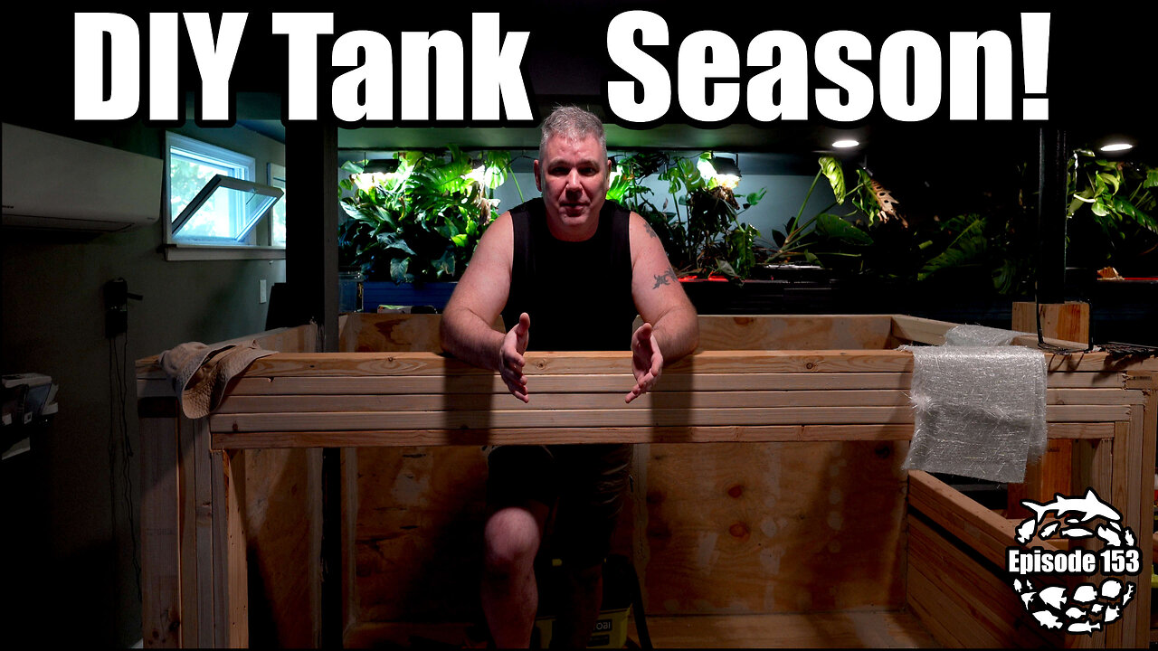 DIY Aquarium Building Season is Here!