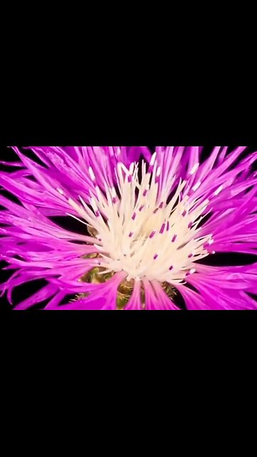 UNDERSTANDING GOD'S WORD - DAILY DEVOTIONAL ❤️