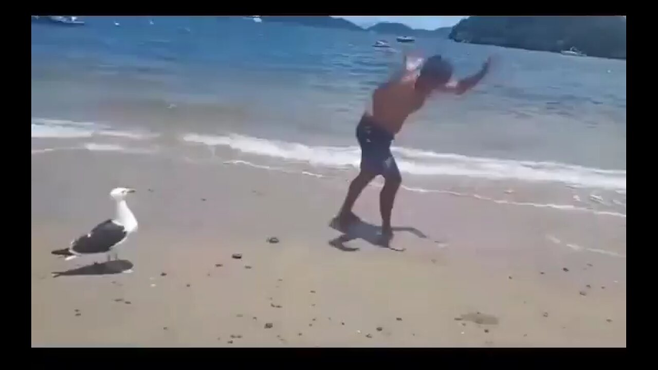 Bird got the joke 😂