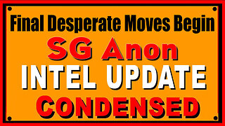 SG Anon Excellent Report 3.14.25 - Final Desperate Moves Begin