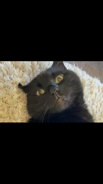 Feeling those good vibes