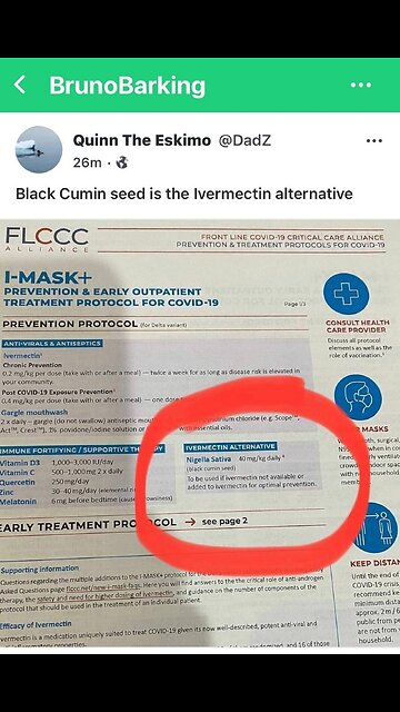 Saturated fat found in meat and eggs fuel the brain.