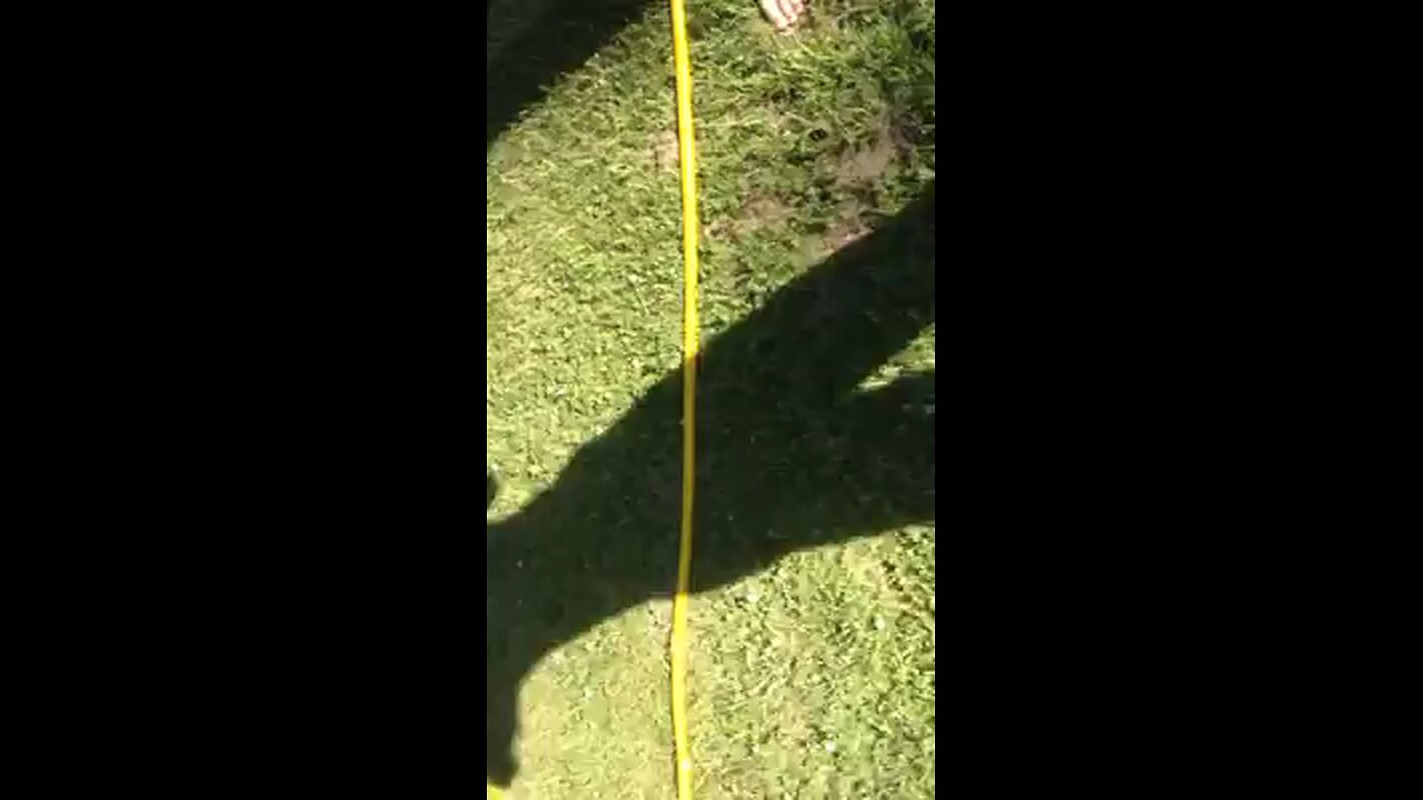 Grace and Josh threw a real egg full of glitter at Zach. It was so funny!