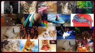 Operation #Caturday