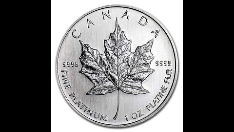 1oz Platinum Maple Mini Review 1-3