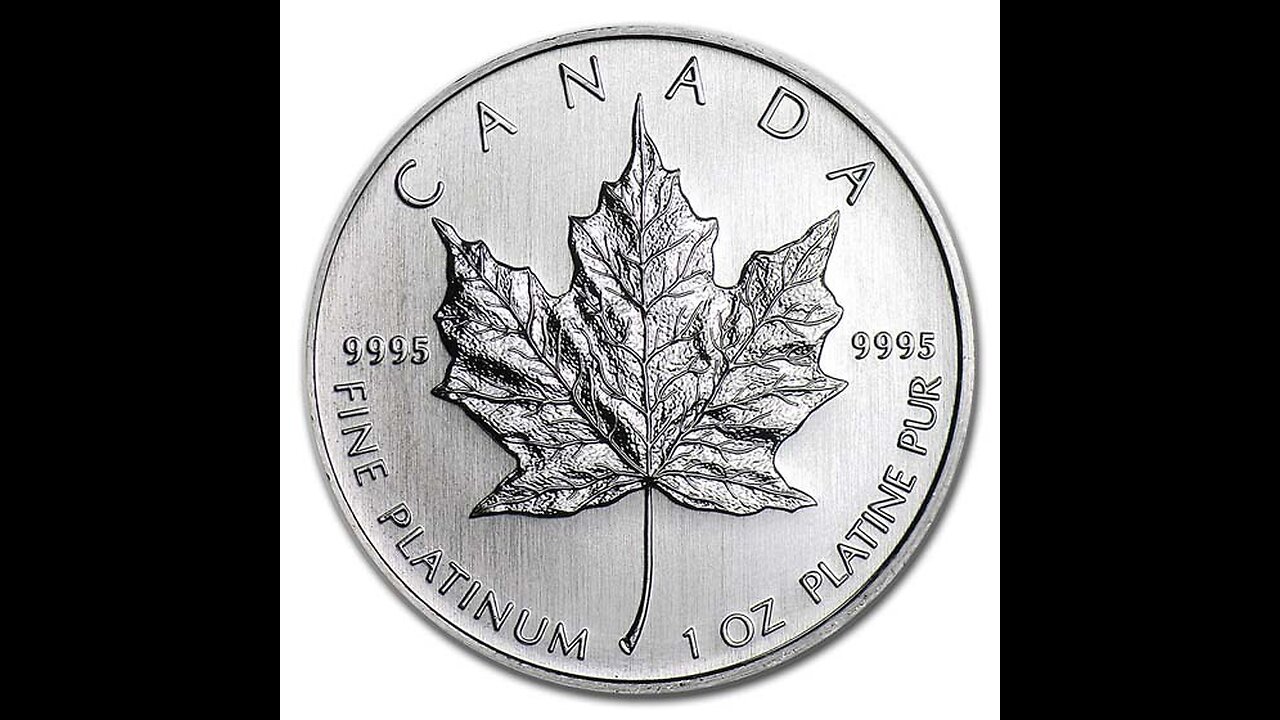 1oz Platinum Maple Mini Review 1-3