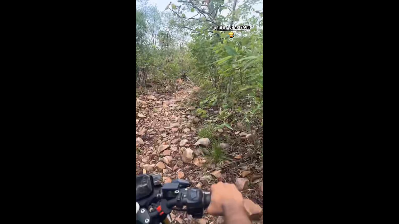 😂 Riding in the middle of the jungle 🏞️😂