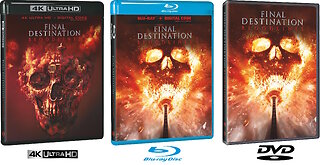 Final Destination: Bloodlines [Standard 4K UHD & Blu-ray & DVD]