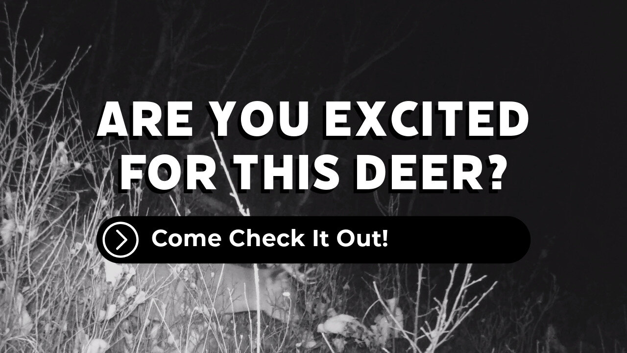 Would You Wait For This Buck?