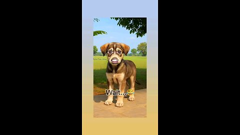 तुम्हारा हिम्मत कैसे हुआ