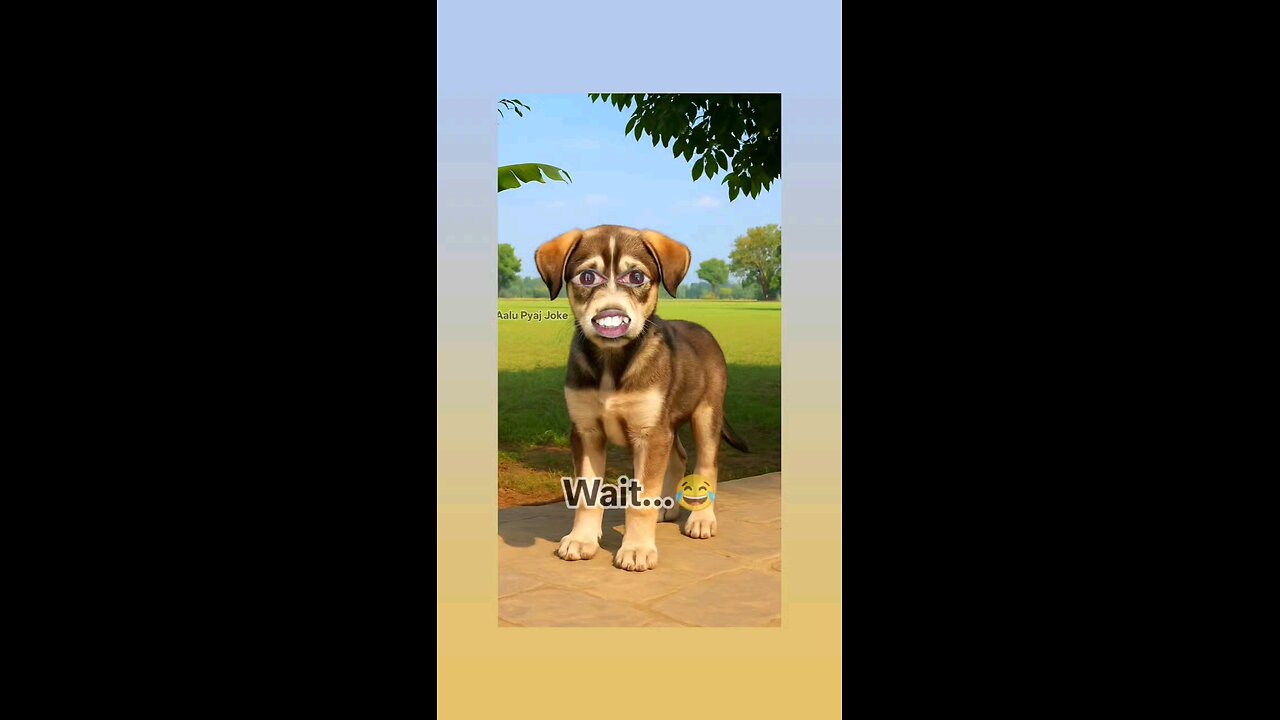 तुम्हारा हिम्मत कैसे हुआ