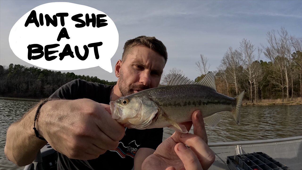 Some Bass Fishing, Catch and Cook Fish Fry, Cobbler