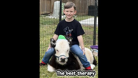 This is what peace looks like. #animals