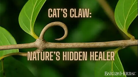 The Health Benefits of Cat's Claw (Una de gato)