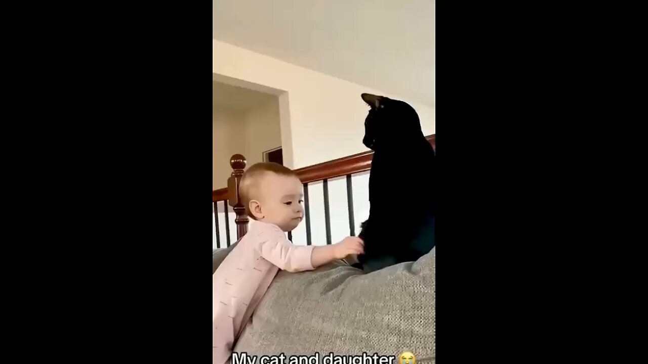 Cats n babies