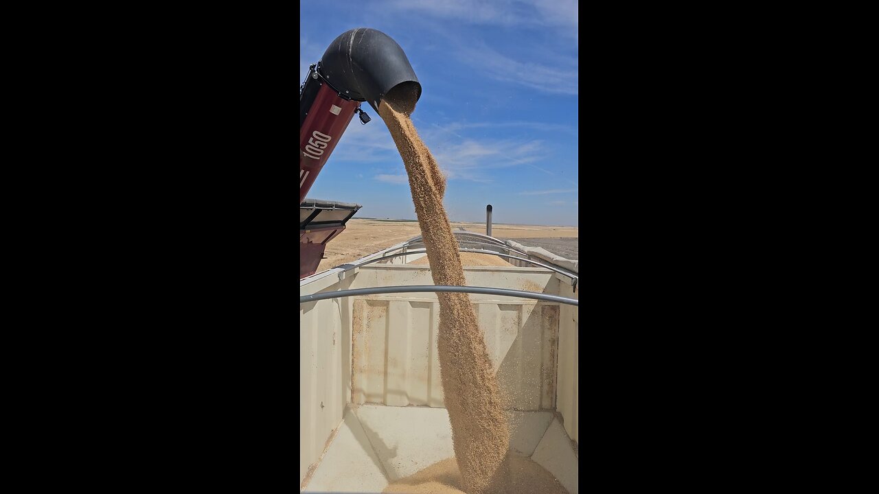 Getting Loaded