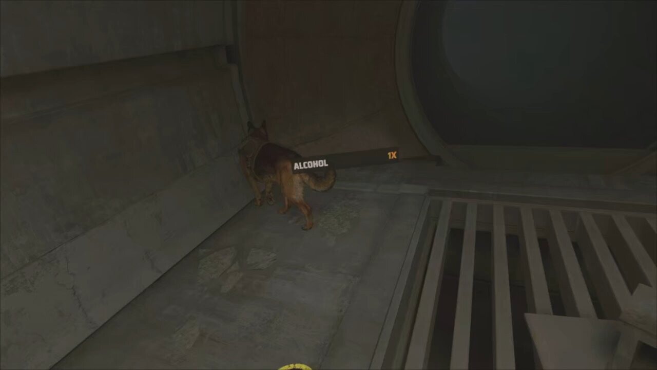 Seeking Sewer Salvation