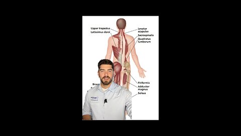 Chronic neck pain, low back pain and hip pain | natural pain| neck, wise upper cervical