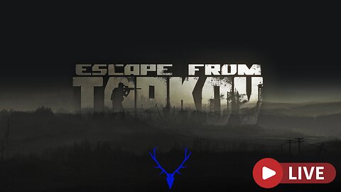Return to Tarkov: SOLO