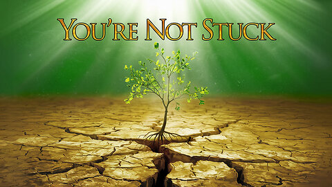 You’re Not Stuck—You’re Being Rooted - Faith Forward Friday