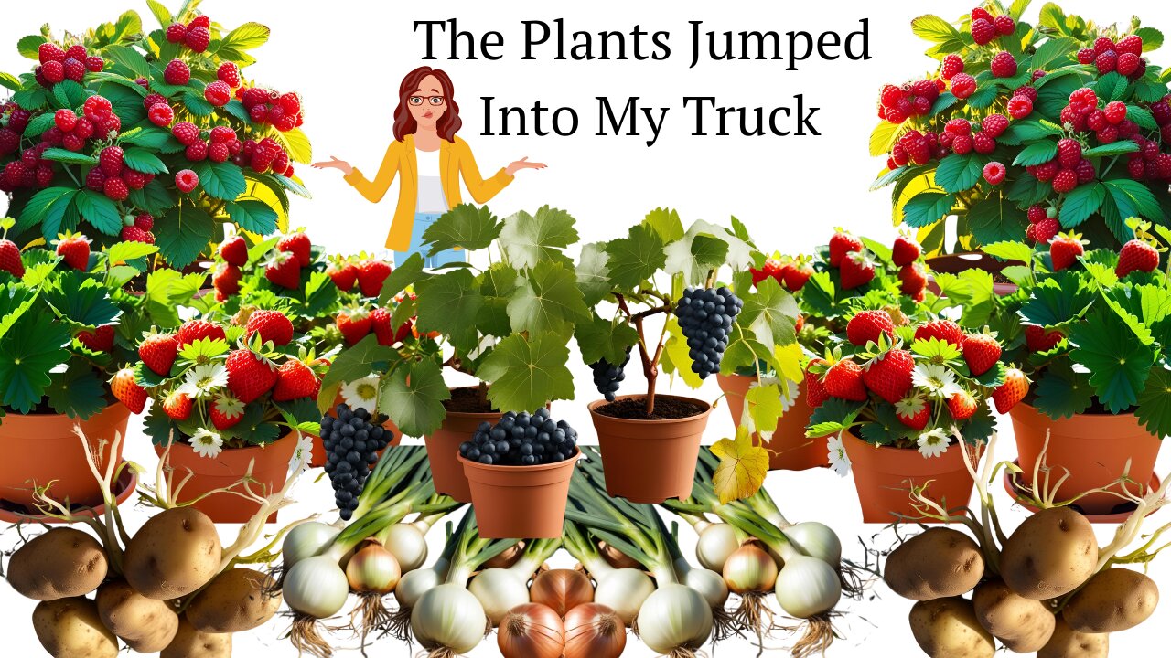 Got garden plants? Get them, but plant them when you're ready.